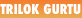 shapeimage_4_link_4
